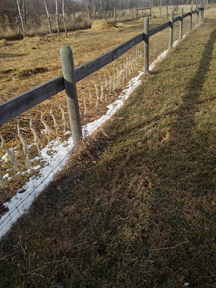 IMG_20150402_174649_hdr